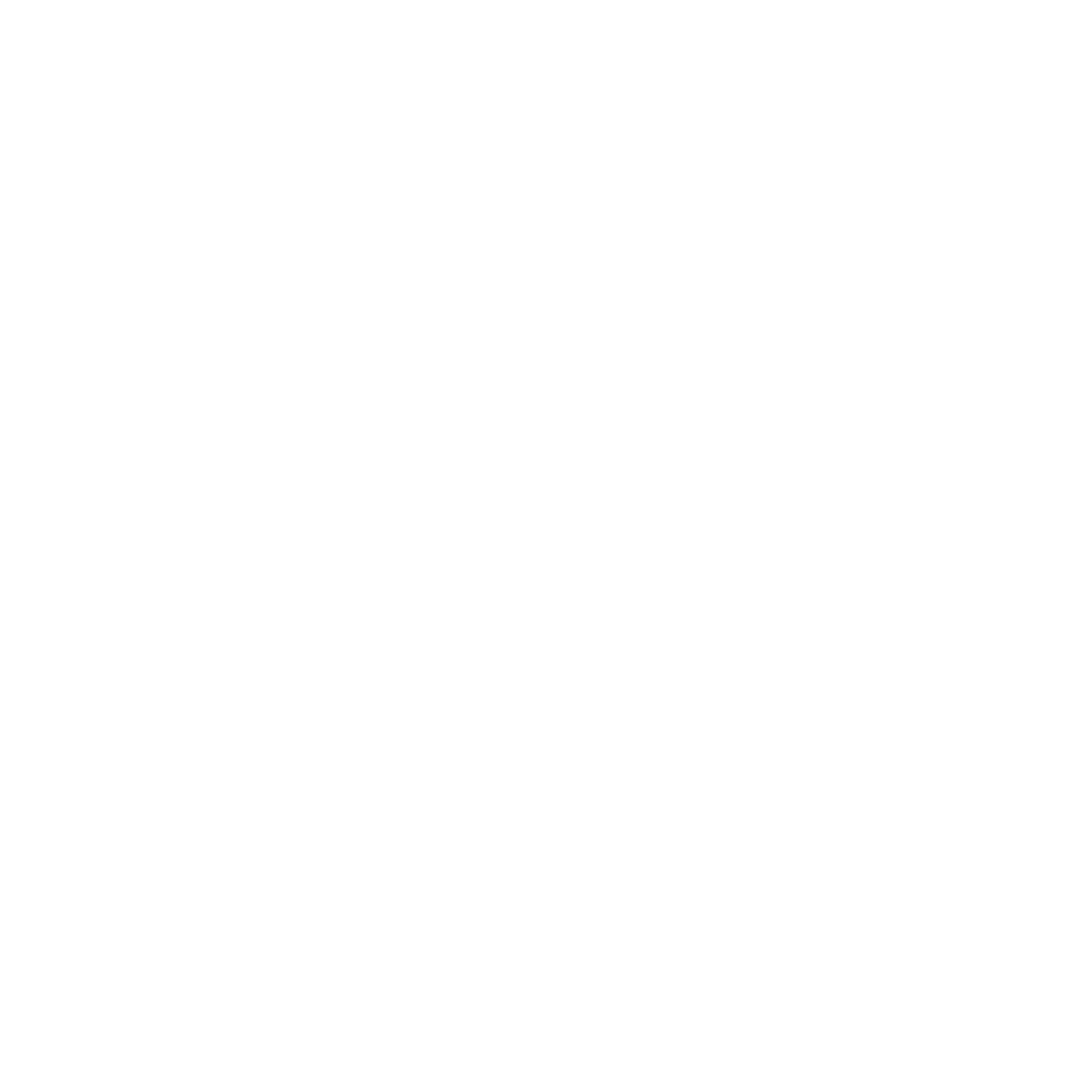 DS Transportes Perú